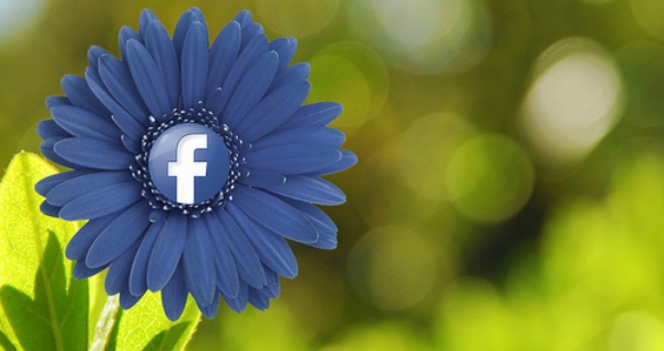 Facebook advertising to bloom your inbound marketing