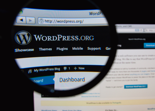 The pitfalls of WordPress auto-updates